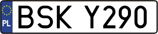 BSKY290