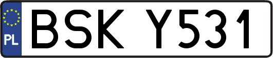 BSKY531