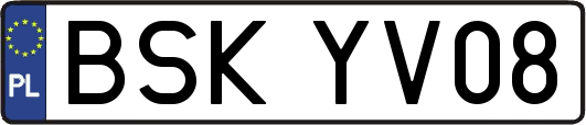 BSKYV08