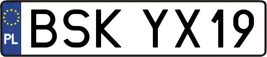 BSKYX19