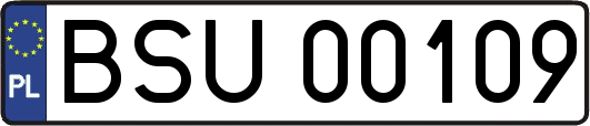 BSU00109
