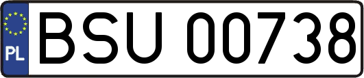 BSU00738