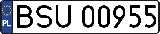 BSU00955