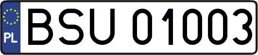 BSU01003