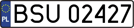 BSU02427
