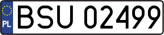 BSU02499
