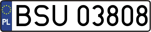 BSU03808