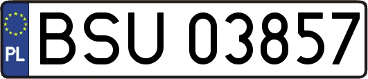 BSU03857