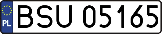 BSU05165