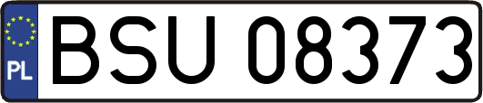 BSU08373