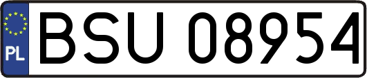 BSU08954