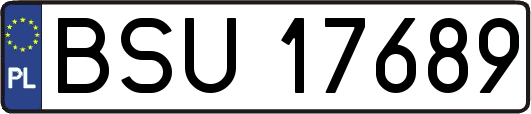 BSU17689