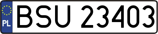 BSU23403