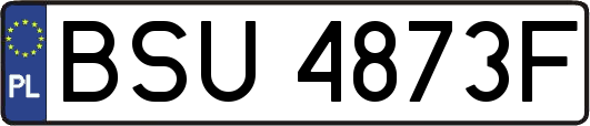 BSU4873F
