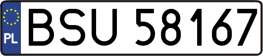 BSU58167