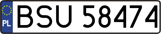 BSU58474