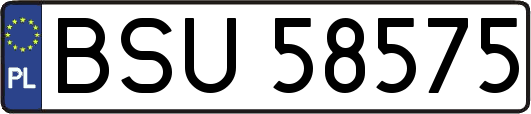 BSU58575