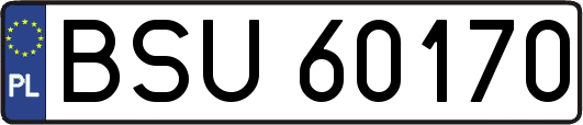BSU60170