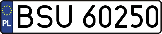 BSU60250