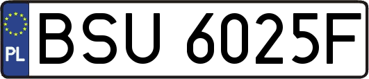 BSU6025F