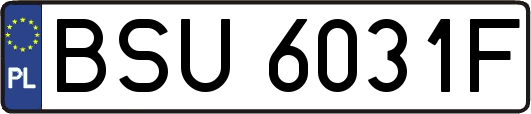 BSU6031F