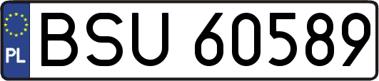 BSU60589