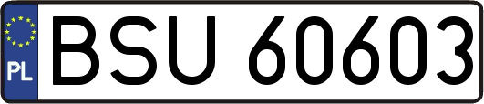 BSU60603