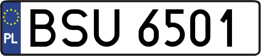 BSU6501