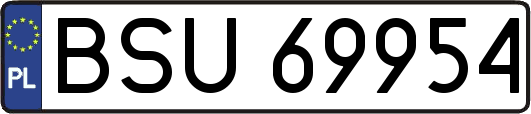 BSU69954