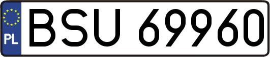 BSU69960