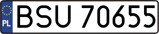 BSU70655