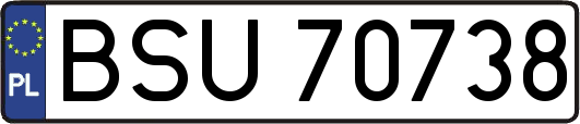 BSU70738