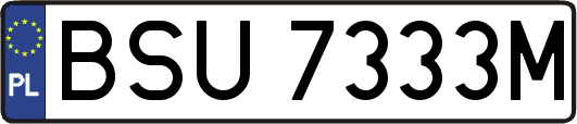 BSU7333M