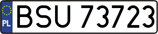 BSU73723