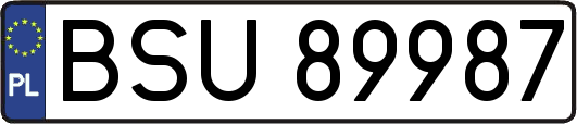 BSU89987