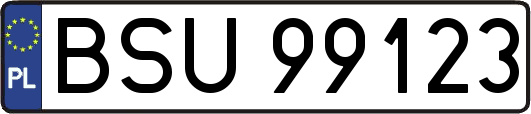 BSU99123