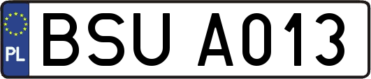 BSUA013