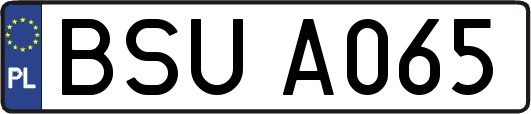 BSUA065
