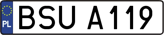 BSUA119
