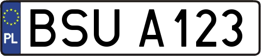 BSUA123