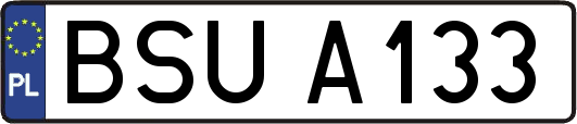 BSUA133