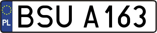 BSUA163