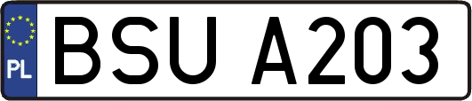 BSUA203