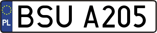 BSUA205