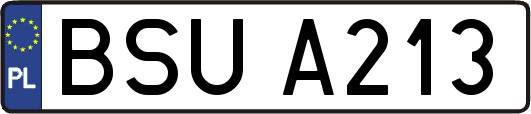 BSUA213