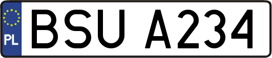 BSUA234