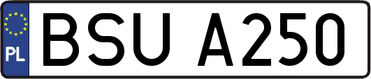 BSUA250