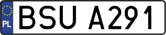 BSUA291