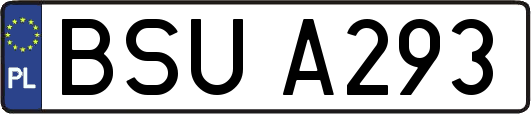 BSUA293