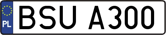 BSUA300